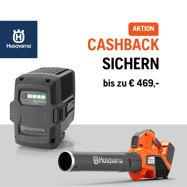 Cashback Aktion Pro 1